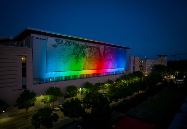 CREE Shimmer Wall Pride