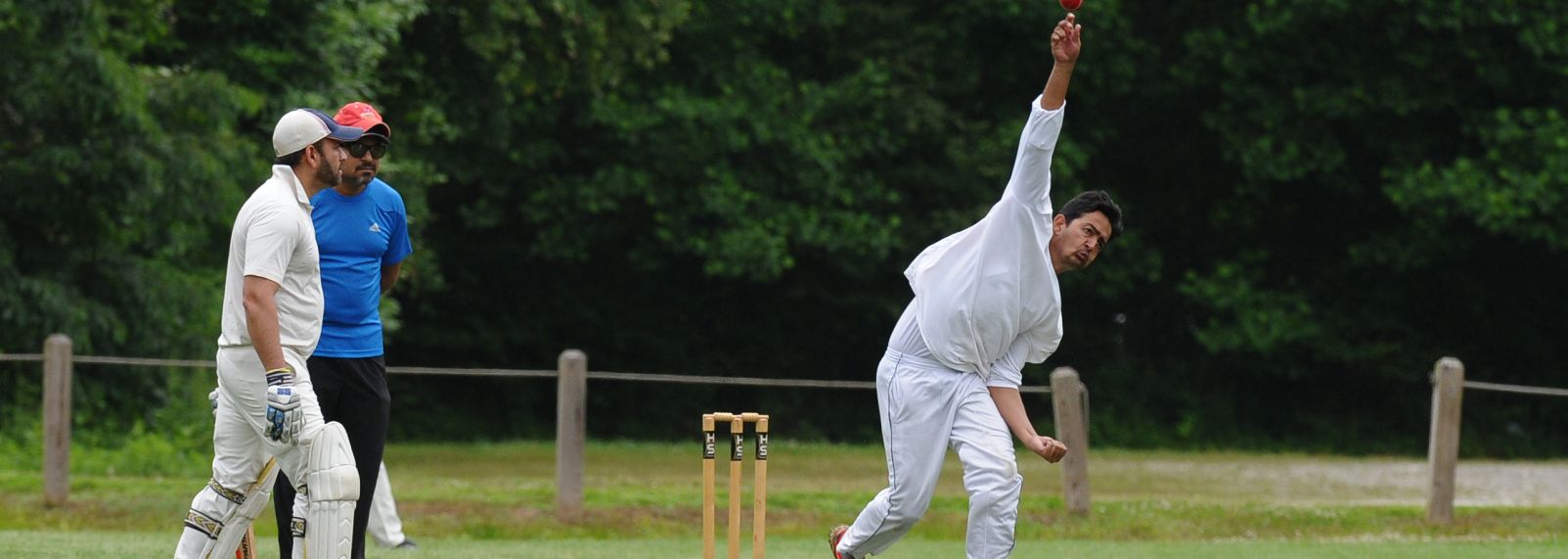 Cricket 02-213.jpg