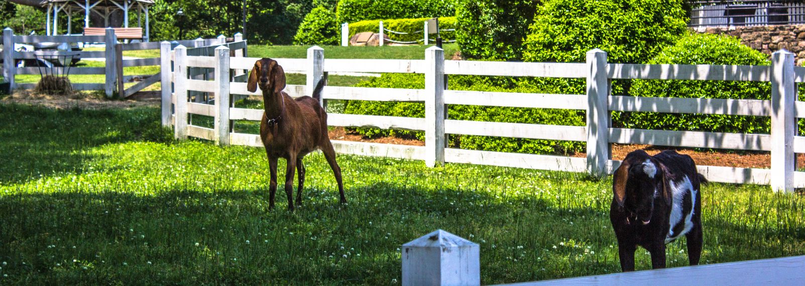 Historic Oak View 05-202.jpg