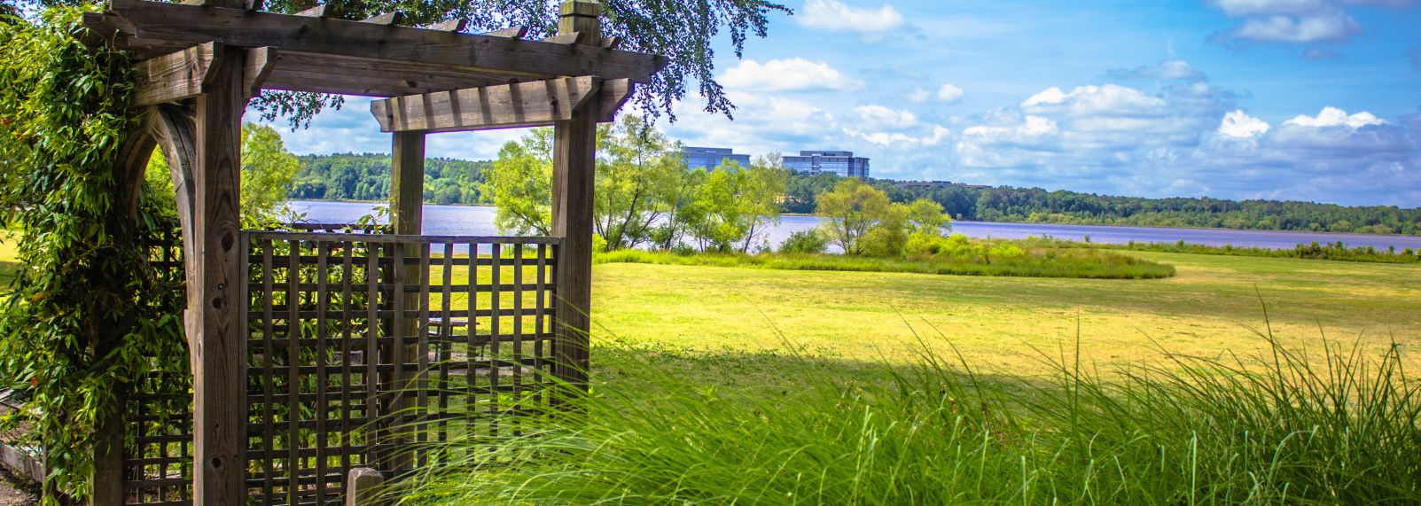 Lake Crabtree 01-205.jpg