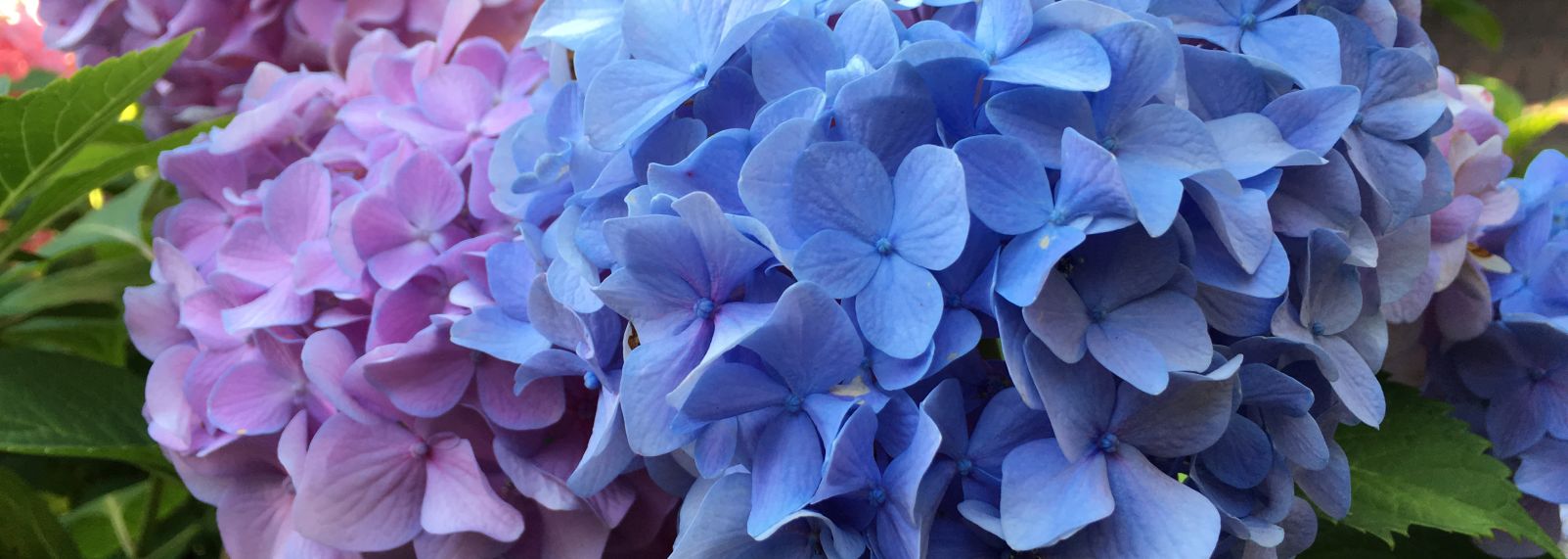 Haywood Hall House 05-235.JPG