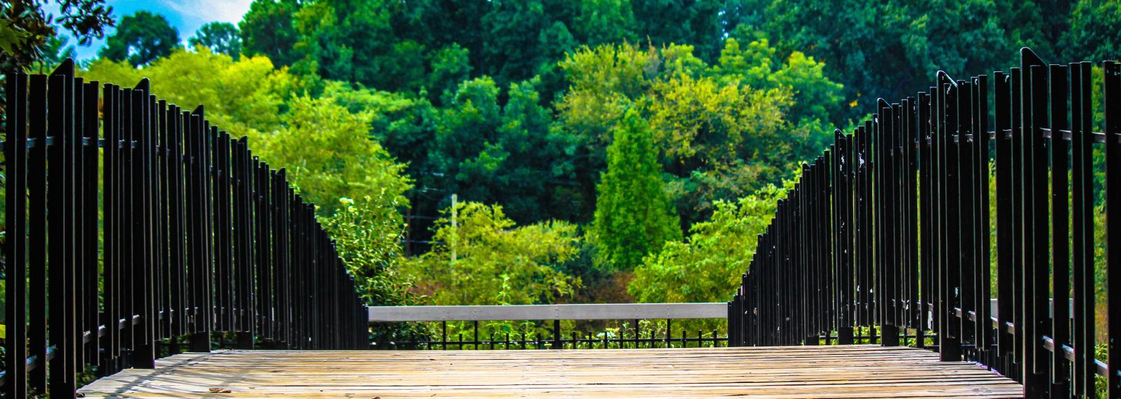 Pullen Park 22-199.jpg