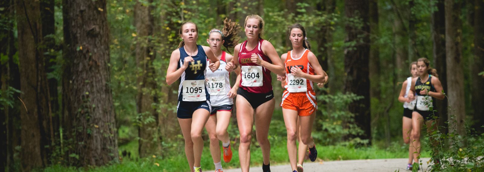 Great American XC 5-230.jpg