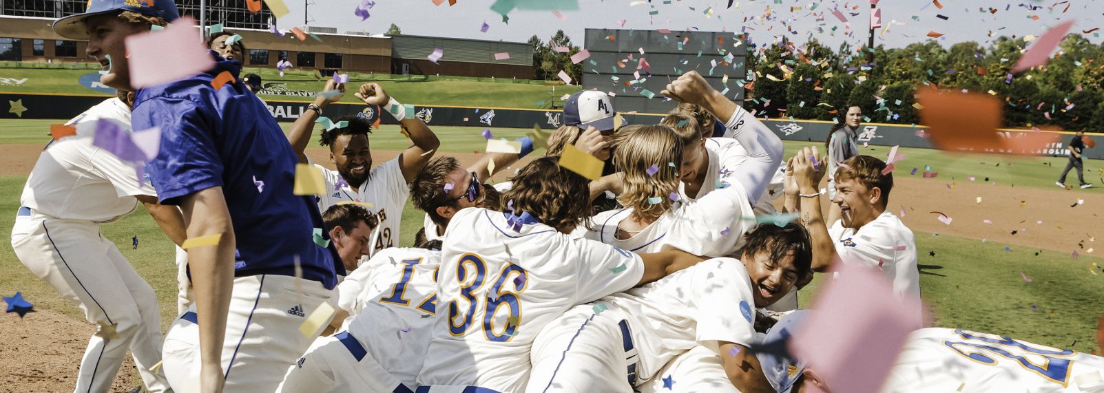NCAA DII Baseball