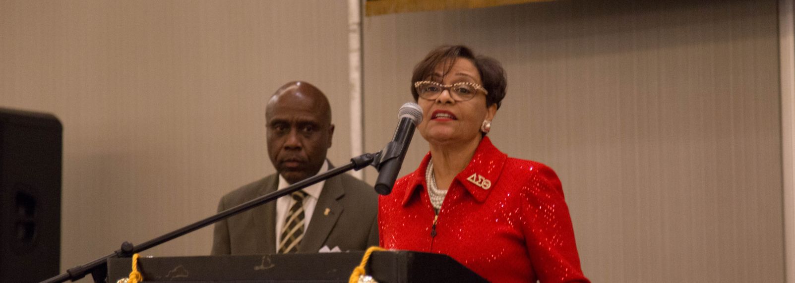 Copy of Raleigh Convention Center Alpha Phi Alpha 04-195.jpg