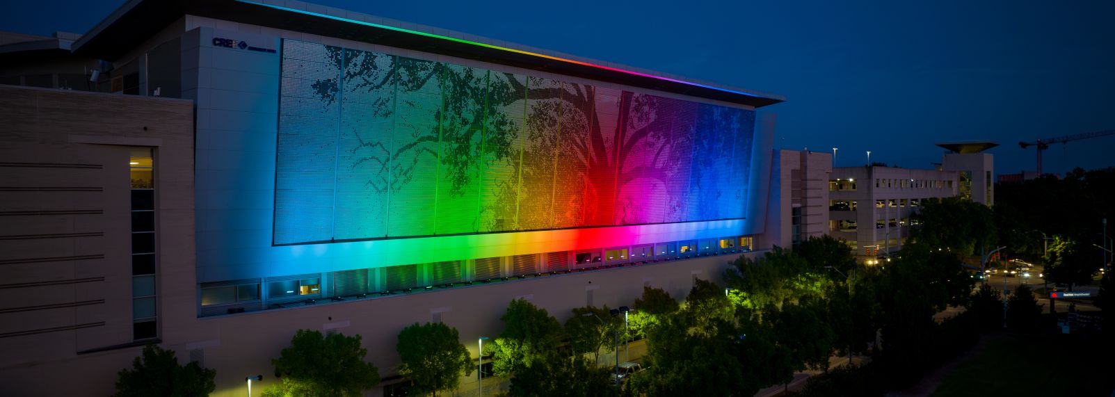 CREE Shimmer Wall Pride
