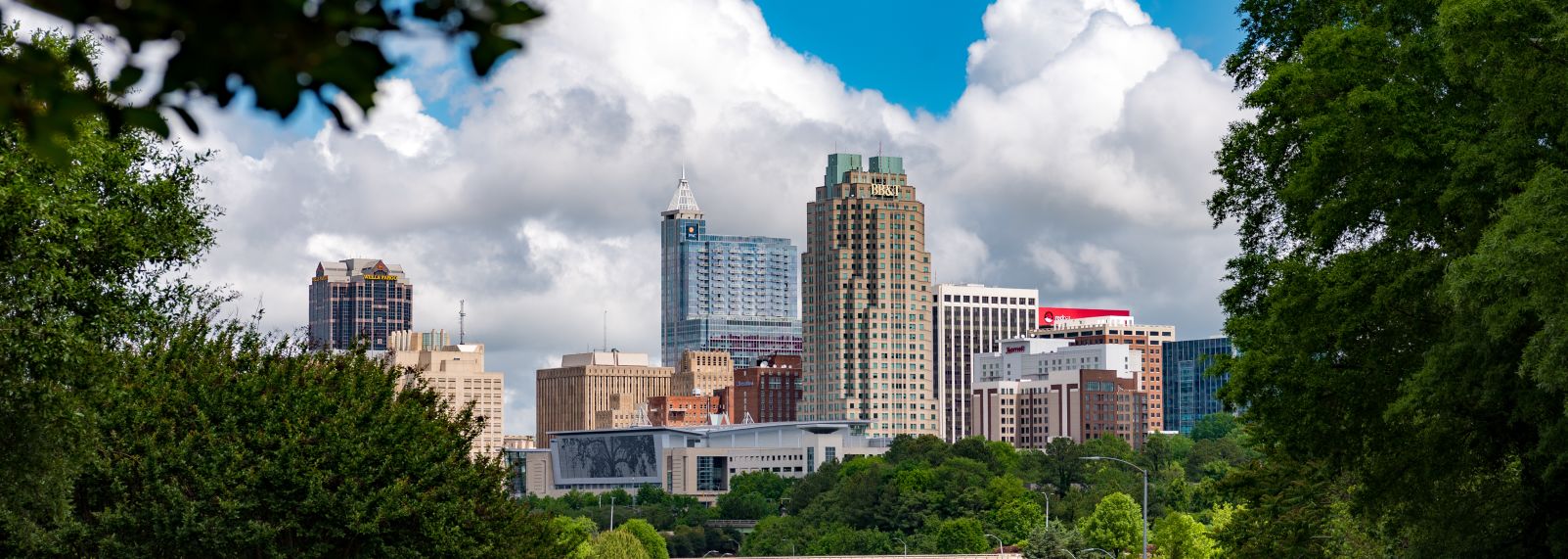 Raleigh Skyline April 2017