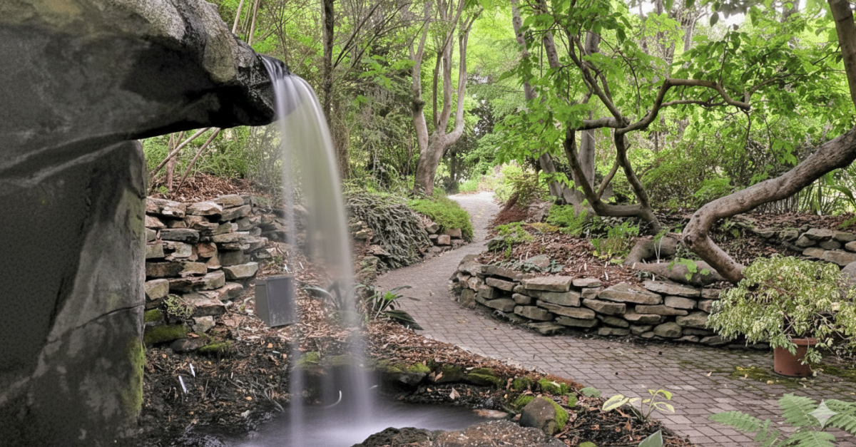 Juniper Level Botanic Garden