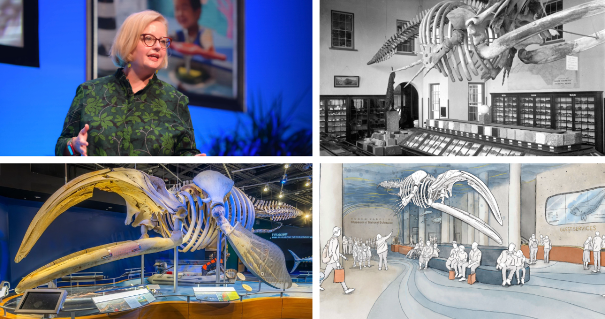 A collage of photos from the presentation for the North Carolina Museum of Natural Sciences, including Stumpy the whale and Denise Young, Ed.D. director and CEO
