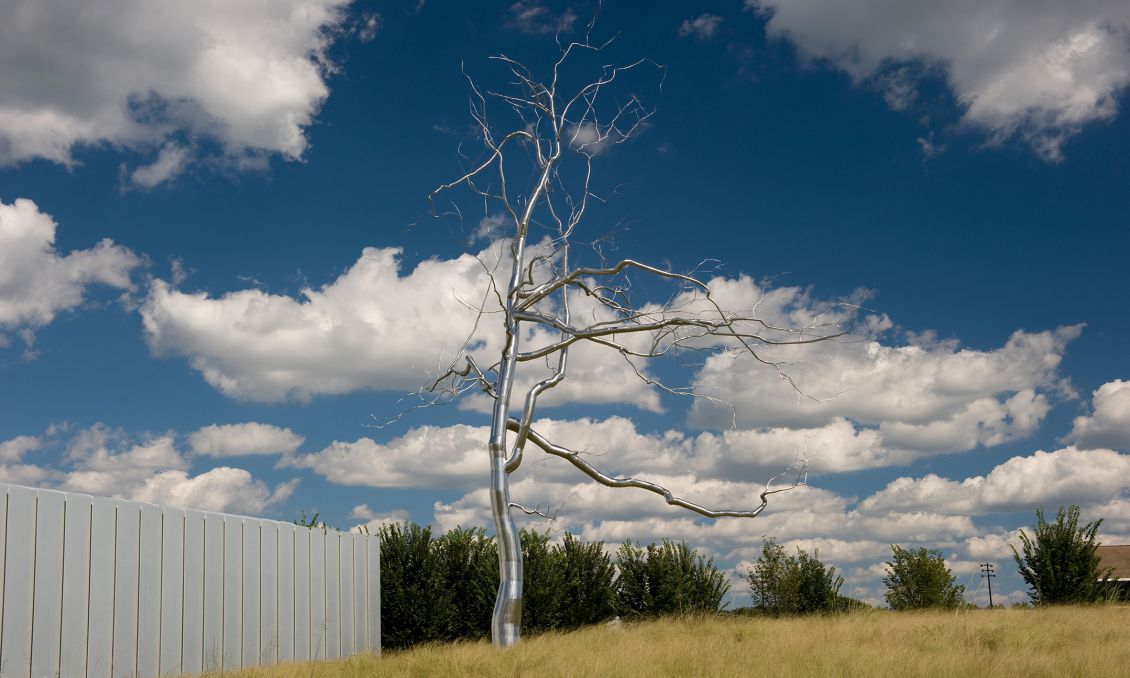 North Carolina Museum of Art