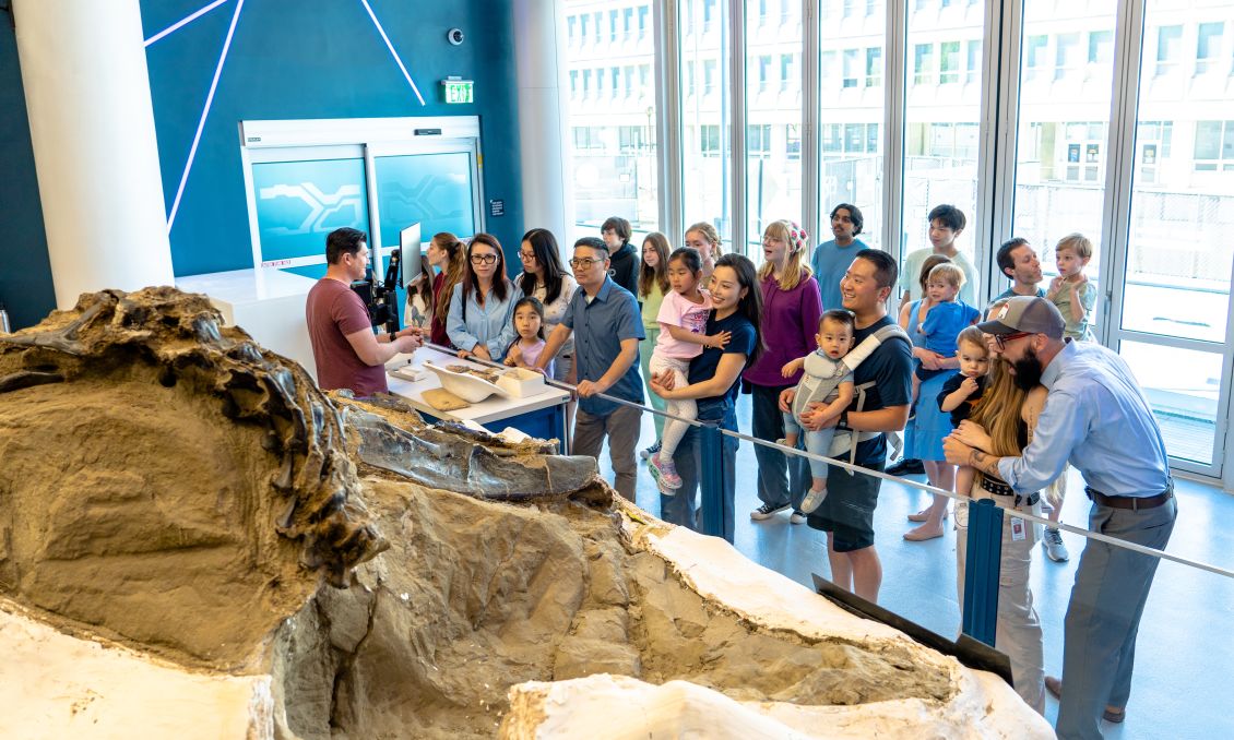 Dueling Dinosaurs at North Carolina Museum of Natural Sciences