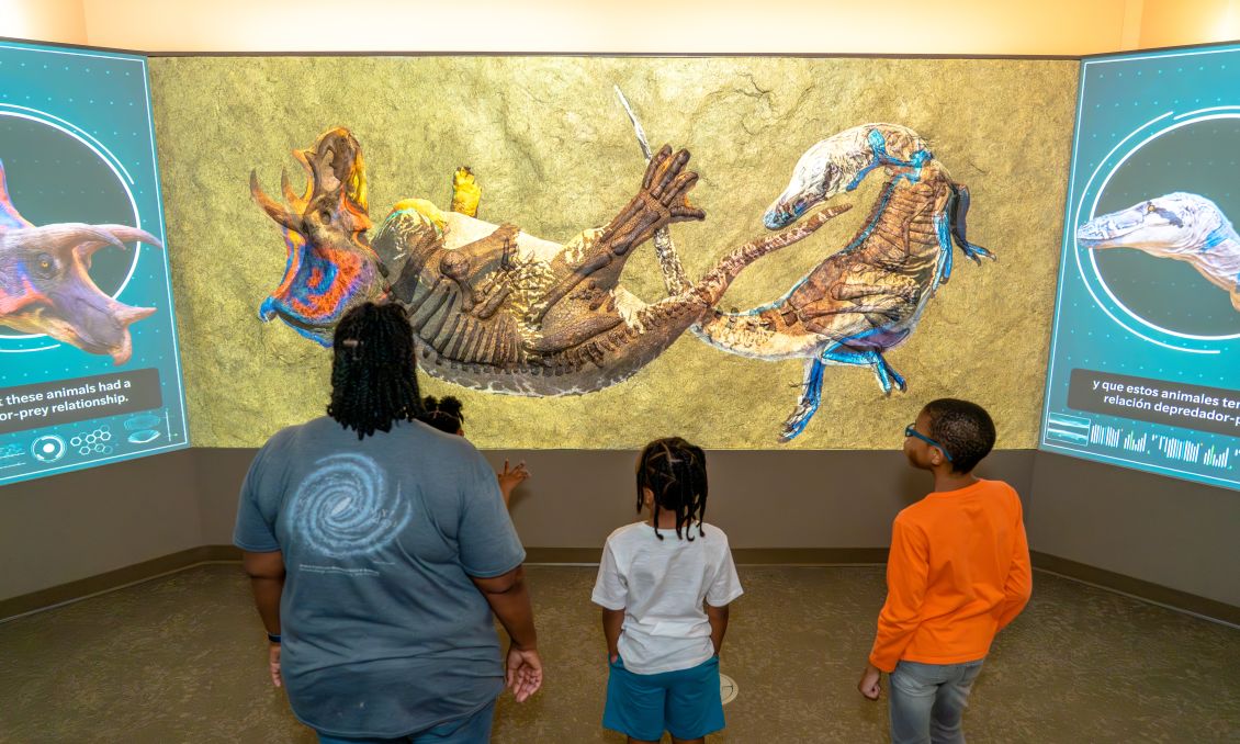Dueling Dinosaurs at North Carolina Museum of Natural Sciences