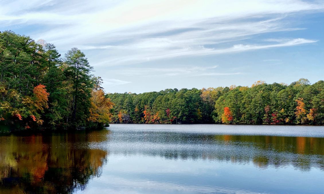 Lake Johnson