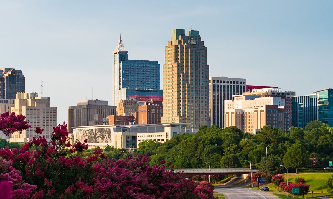 Downtown Raleigh Skyline