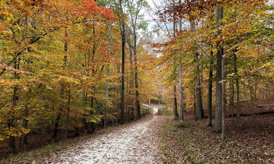 William B. Umstead State Park