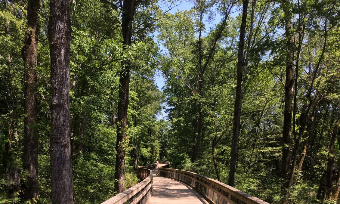 Walnut Creek Trail