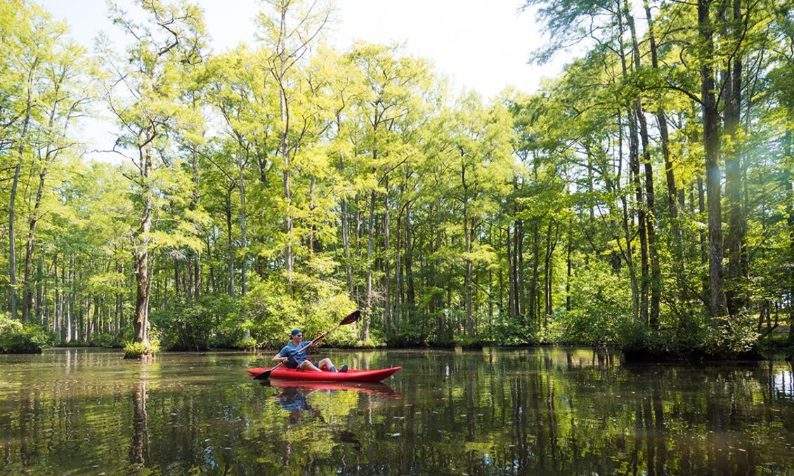 Robertson Millpond Preserve