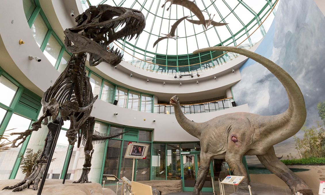 North Carolina Museum of Natural Sciences