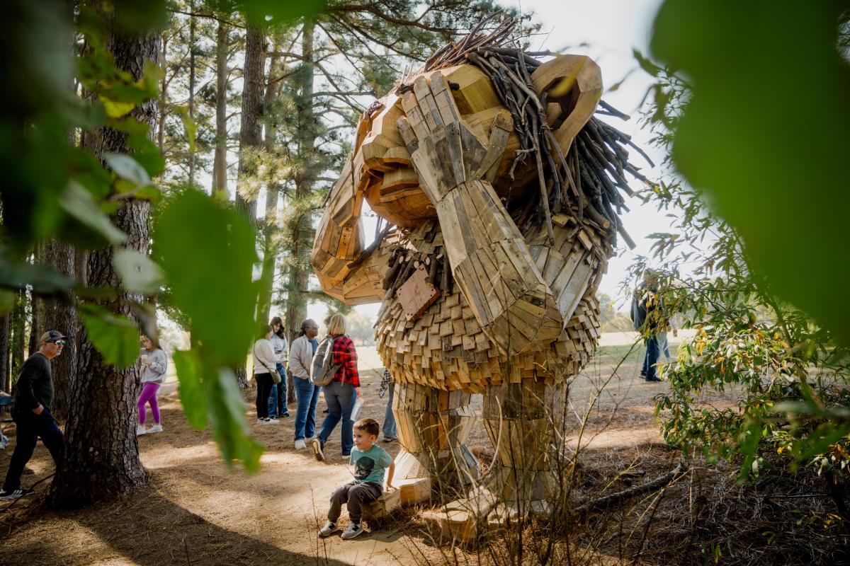 Thomas Dambo's Trolls at Dix Park