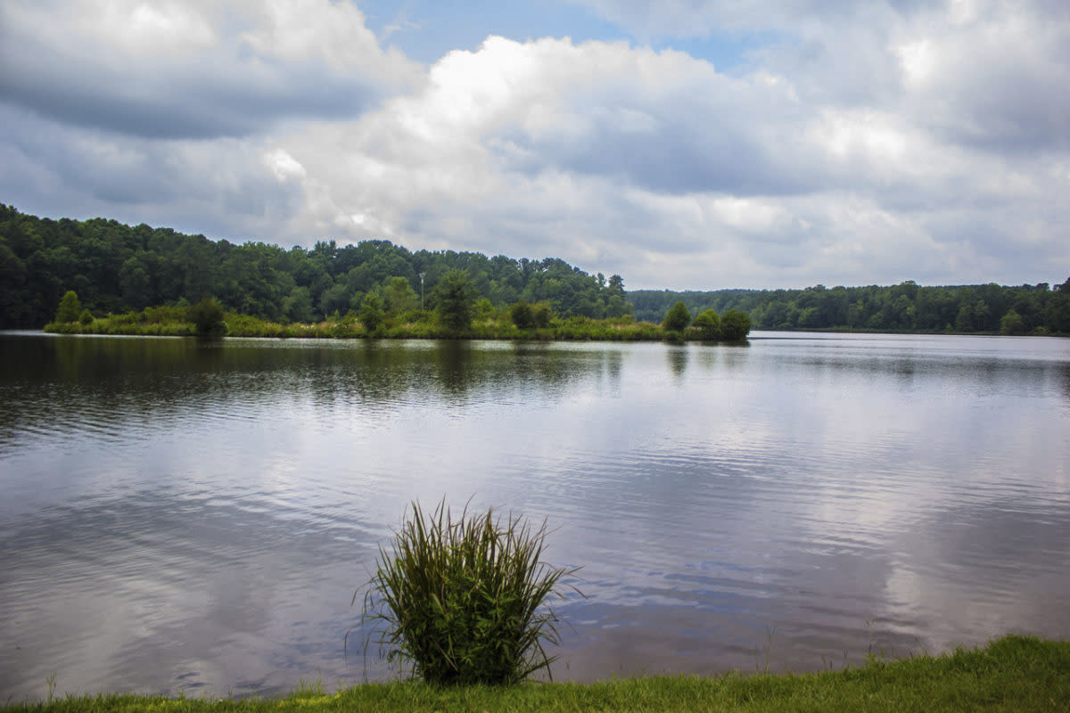 Bass Lake Park