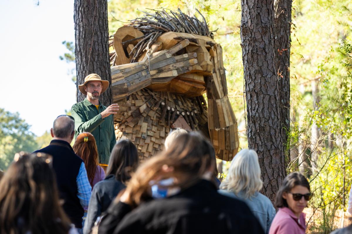 Thomas Dambo's Trolls at Dix Park
