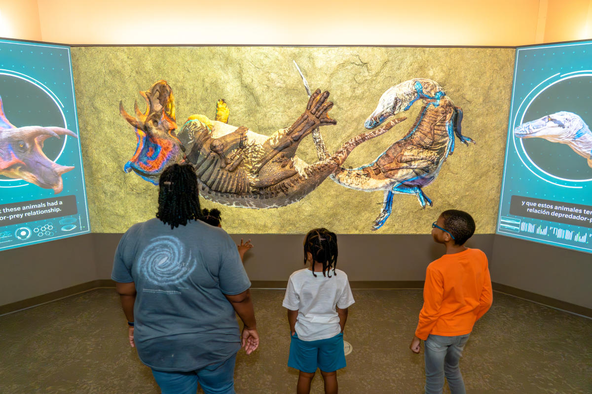 Dueling Dinosaurs at North Carolina Museum of Natural Sciences