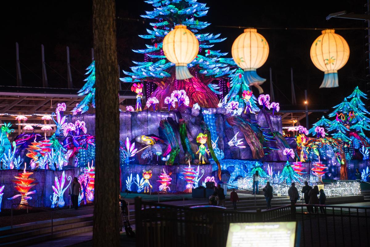 Chinese Lantern Festival 2025