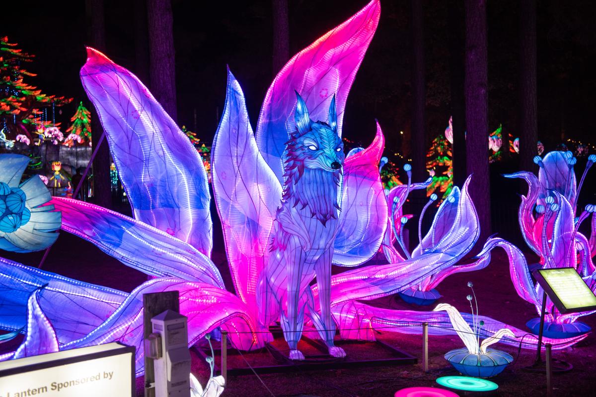 Chinese Lantern Festival 2025