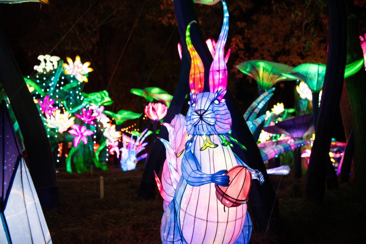 Chinese Lantern Festival 2025