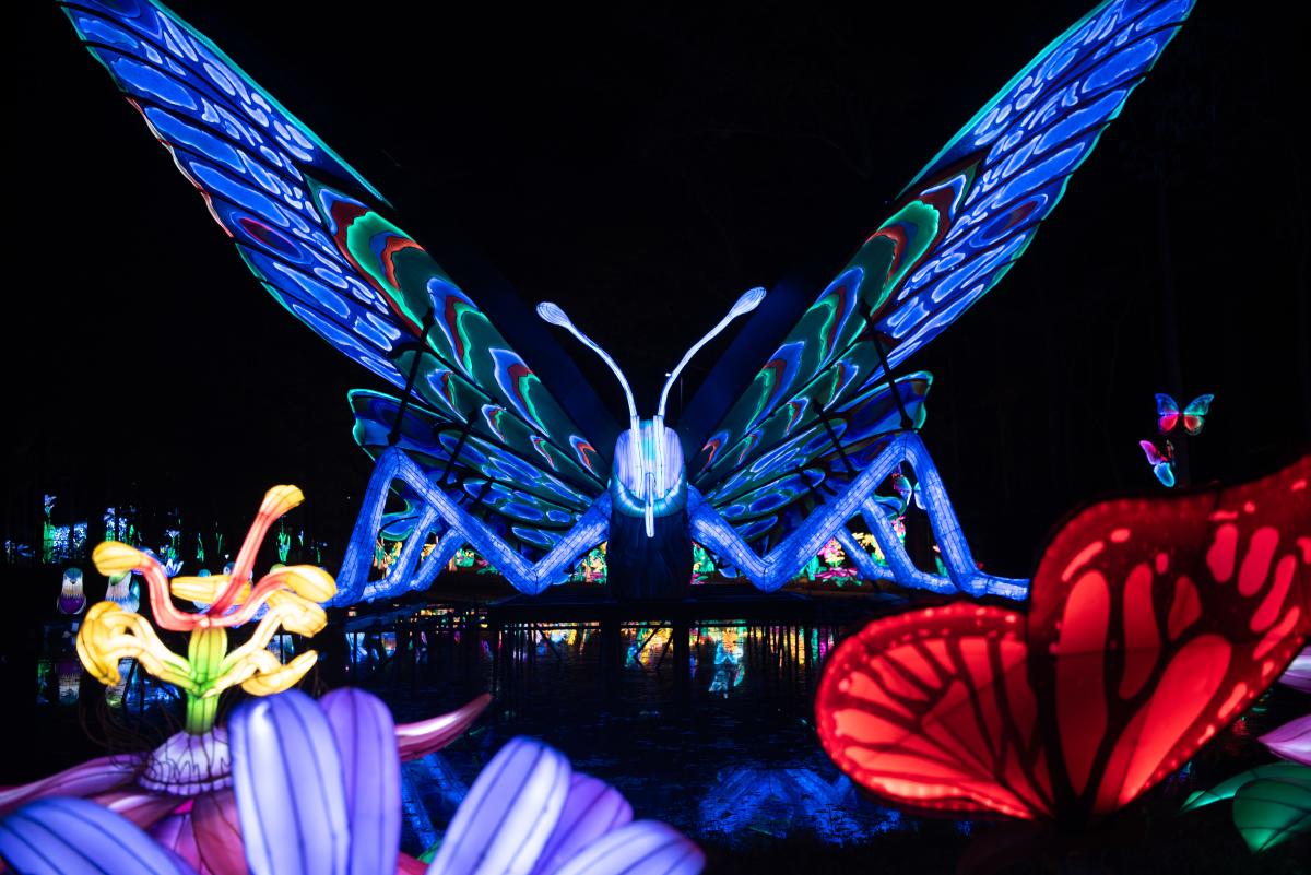 Chinese Lantern Festival 2025