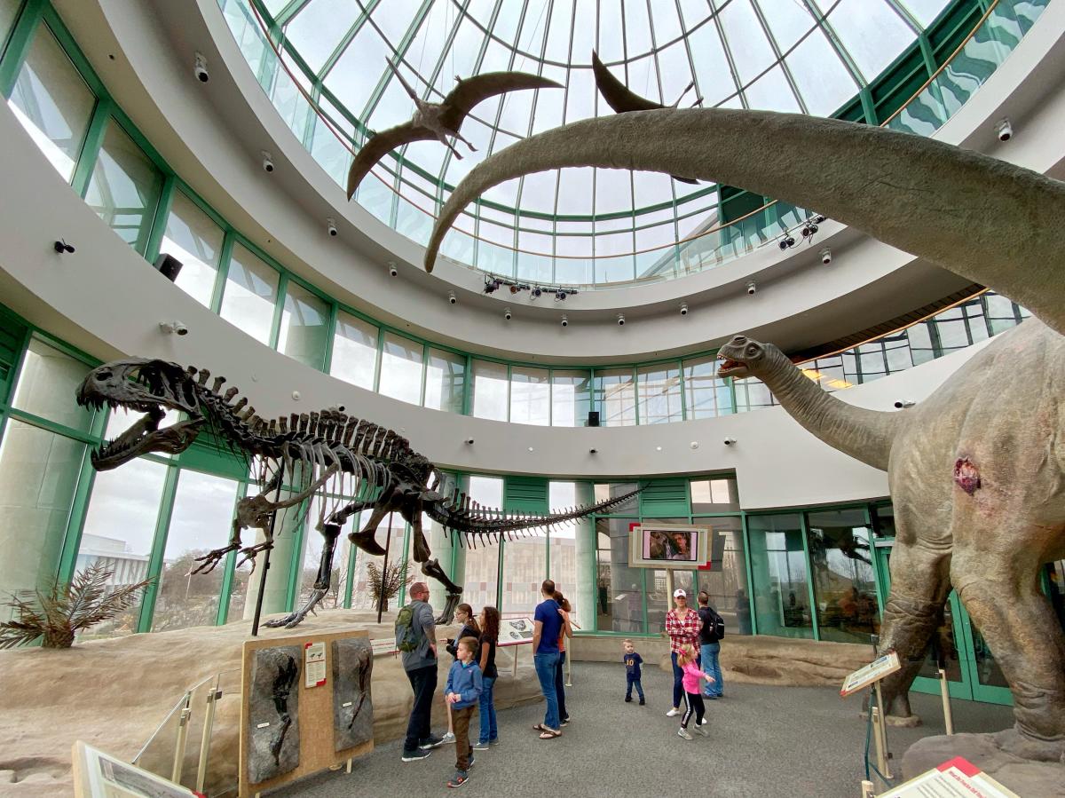 North Carolina Museum of Natural Sciences Terror of the South