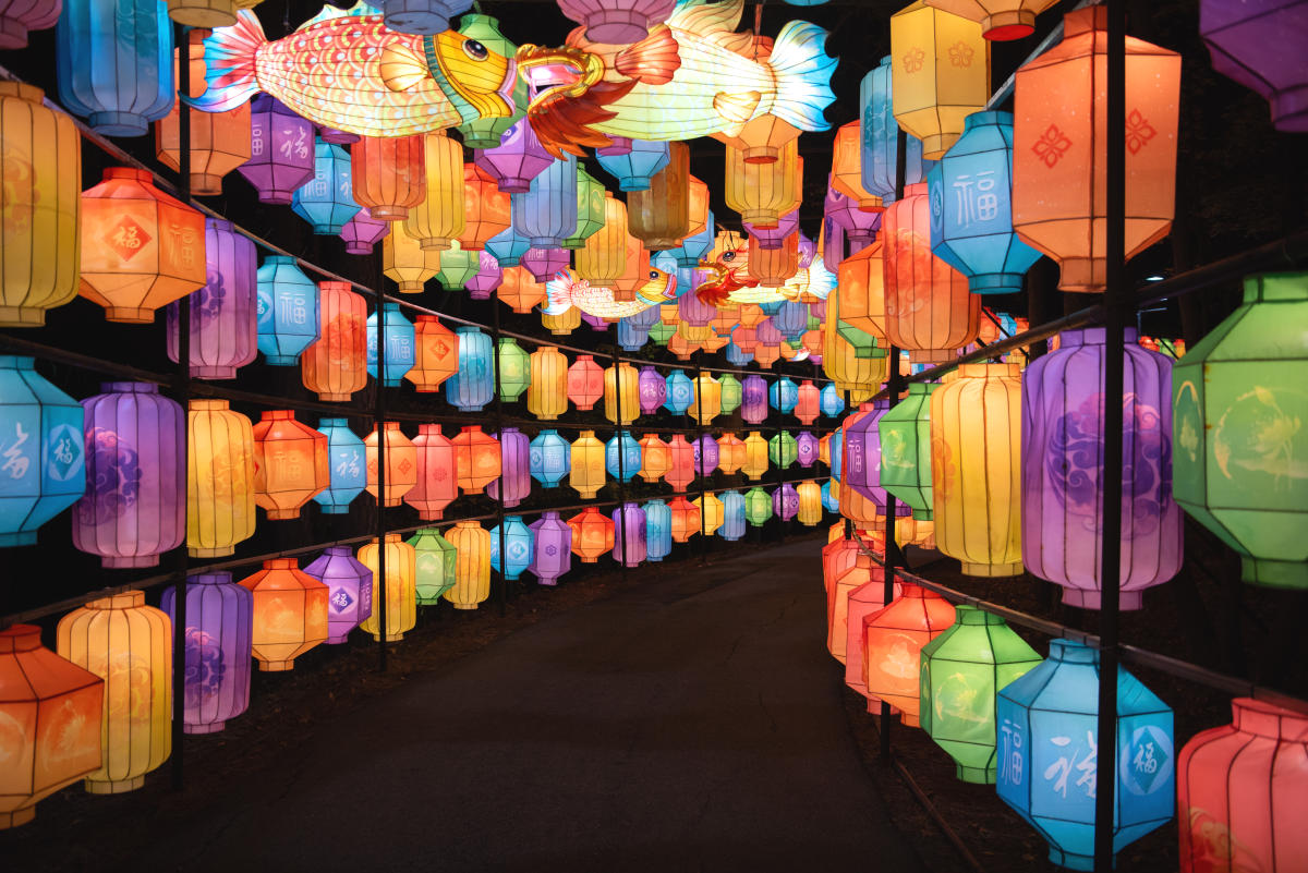 ccp 蓄光祭り05 バラン Event Guide: North Carolina Chinese Lantern Festival in Cary, N.C.