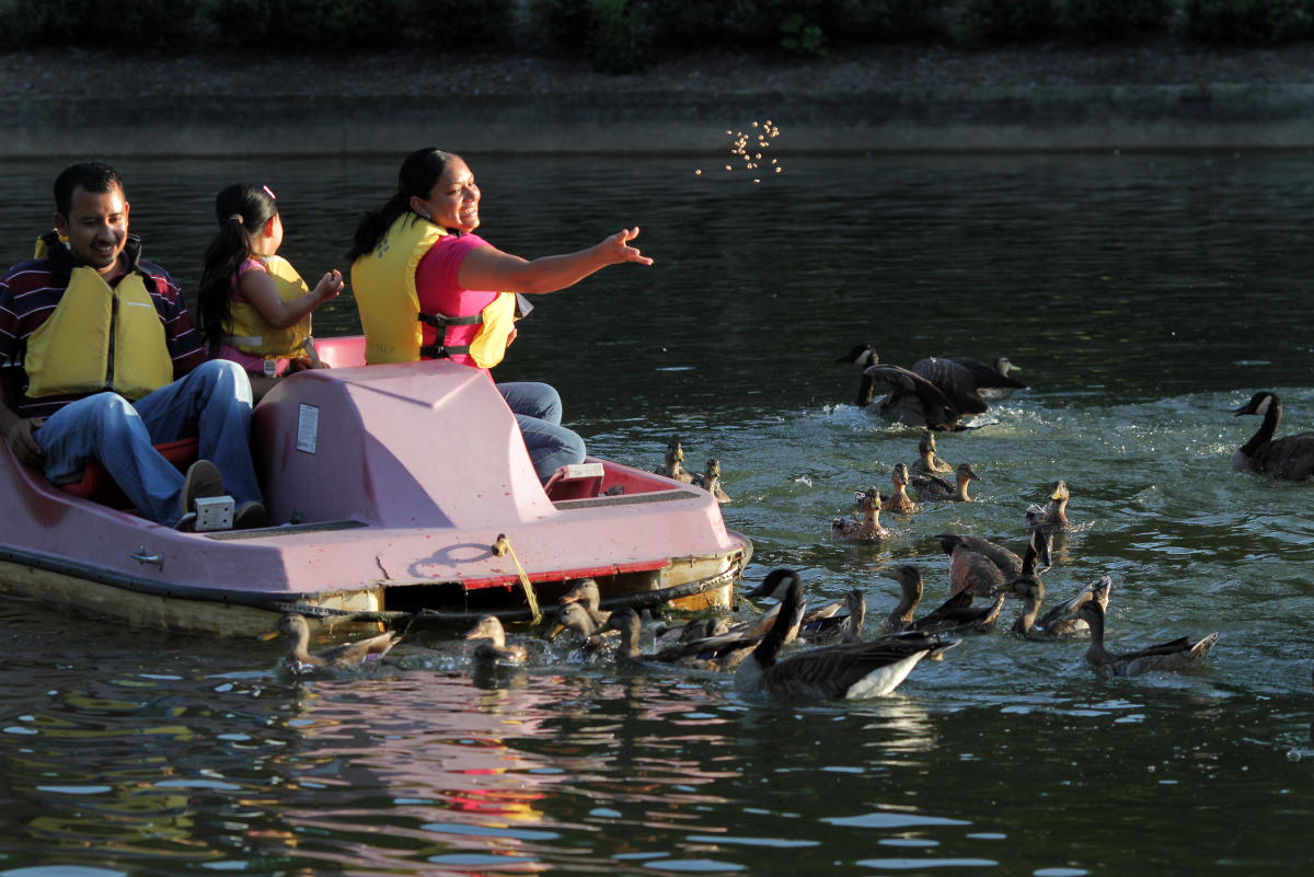 Family Things To Do In Raleigh, NC | Museums & Parks