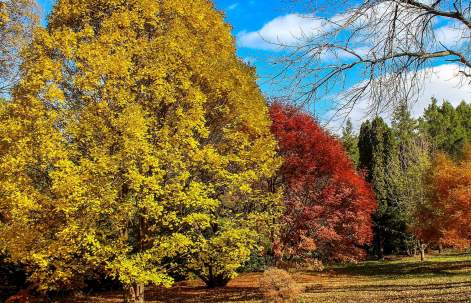 Klehm Arboretum and Botanic Garden