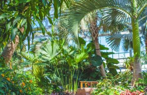 Nicholas Conservatory & Gardens