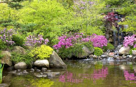Anderson Japanese Gardens