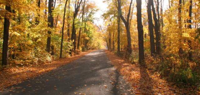 Forest Preserves of Winnebago County