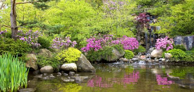 Anderson Japanese Gardens