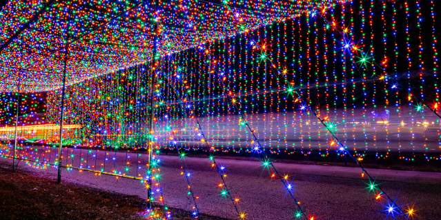 2025 Festival of Lights