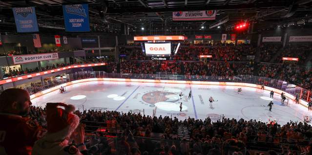 Rockford IceHogs Pro Hockey