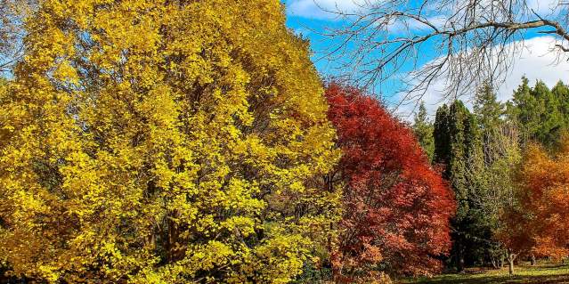 Klehm Arboretum and Botanic Garden