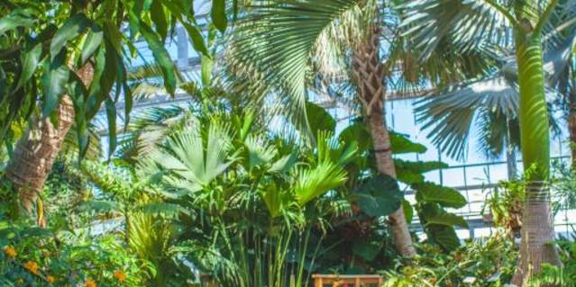 Nicholas Conservatory & Gardens