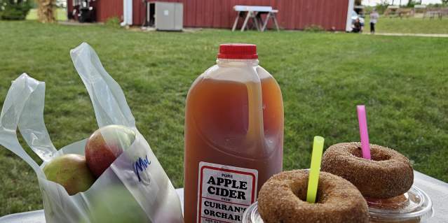 Curran's Orchard