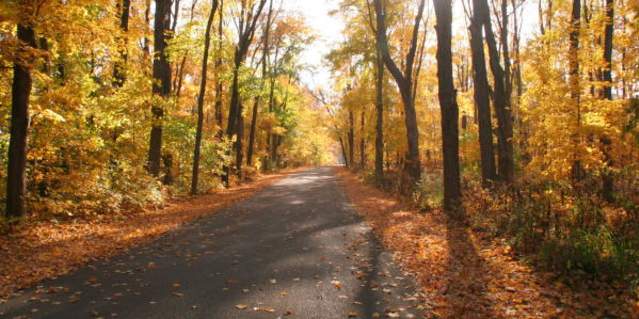 Forest Preserves of Winnebago County