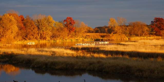 Nygren Wetland Preserve