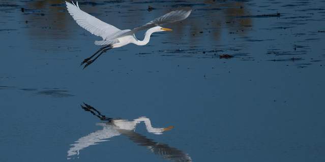 Nygren Wetland Preserve