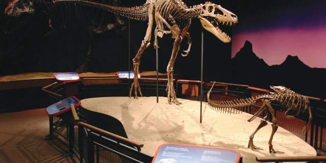 Burpee Museum of Natural History