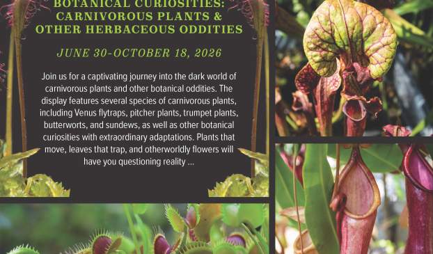 Botanical Curiosities: Carnivorous Plants & Other Herbaceous Oddities