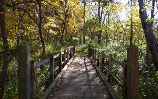 Severson Dells Nature Center