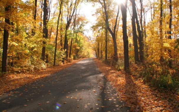 Forest Preserves of Winnebago County